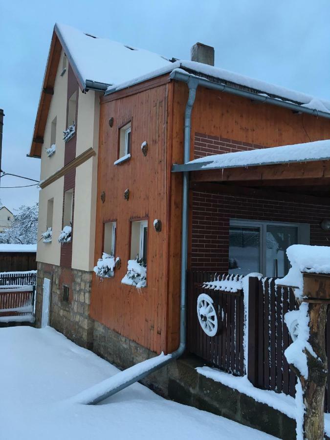 Ubytovani U Rybnicka Villa Arnoltice u Decina Luaran gambar